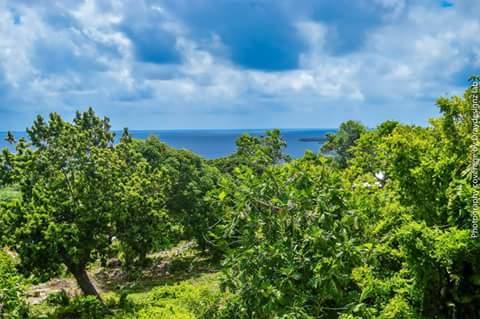 Ackee Tree Sea View Villa Port Antonio Exterior foto