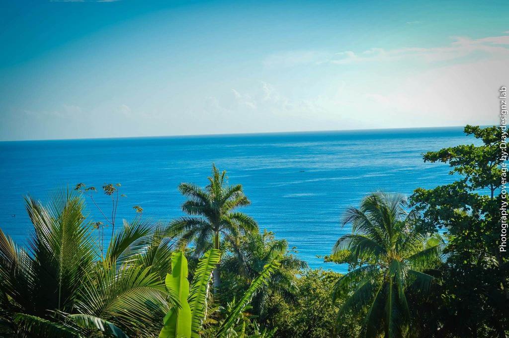 Ackee Tree Sea View Villa Port Antonio Exterior foto