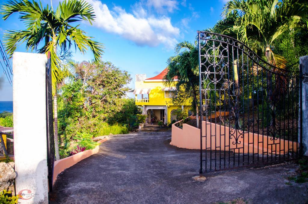 Ackee Tree Sea View Villa Port Antonio Exterior foto